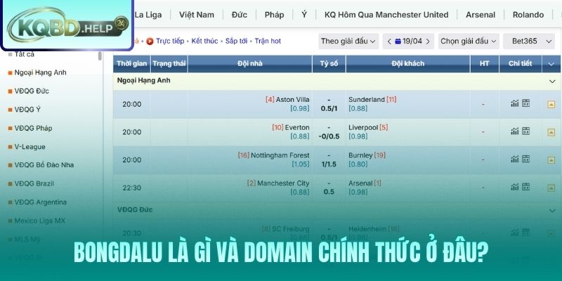 Bongdalu chính thức trên nền Nowgoal và các bản clone cần tránh